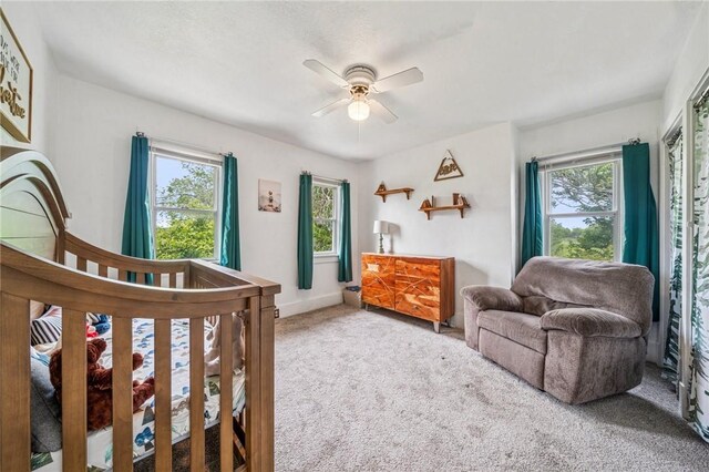 510 Central Ave E, Washington Boro, PA 15301 - bedroom with multiple windows, carpet, ceiling fan, and baseboards