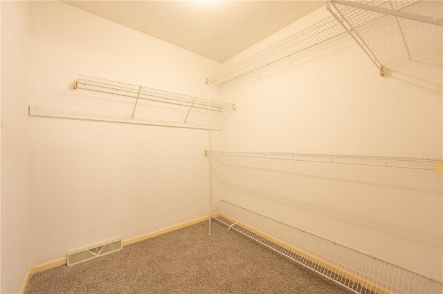 302 Shutt Rd, Hempfield Twp Wml, PA 15601 - walk in closet with carpet floors