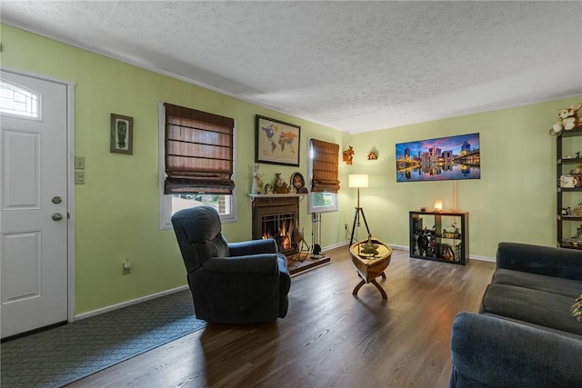 125 Spruce St, Brighton Twp, PA 15009 - living area featuring wood finished floors, a lit fireplace, a textured ceiling, plenty of natural light, and baseboards