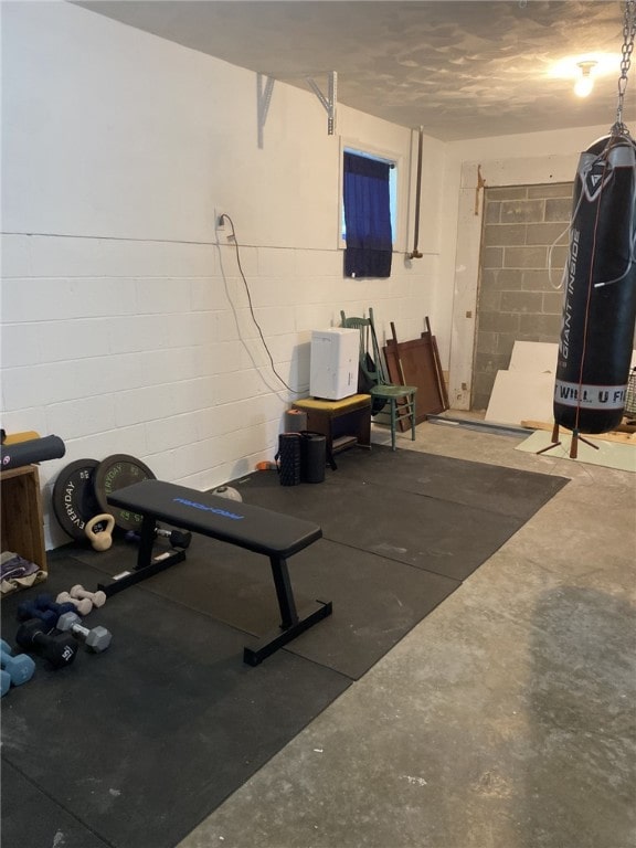 30 Wiggins Ln, South Union Twp, PA 15401 - exercise room with concrete block wall