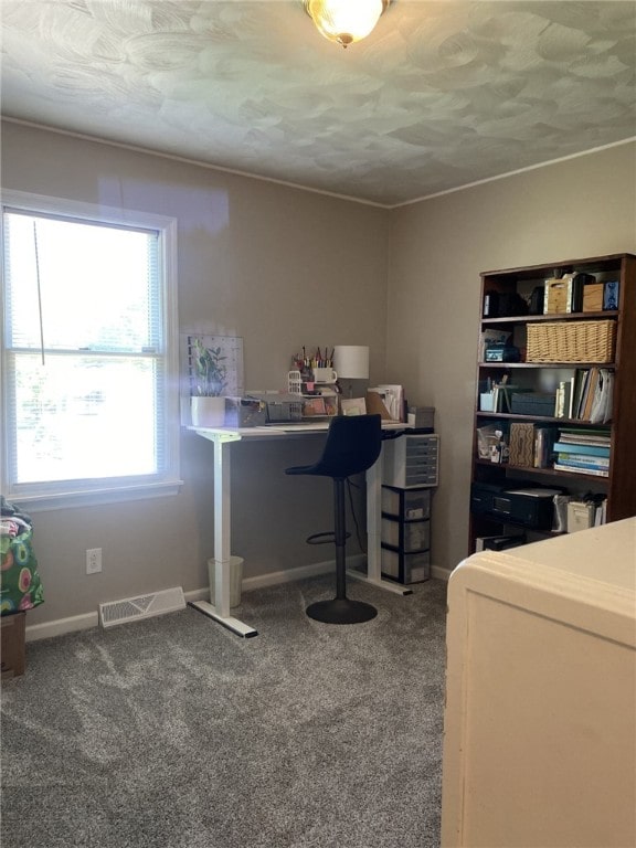 30 Wiggins Ln, South Union Twp, PA 15401 - office with carpet flooring and baseboards