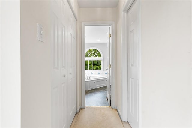 117 Trailside Ct, North Fayette, PA 15108 - hallway with light carpet
