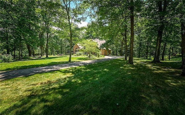 103 Mcdonnell Ln, Middlesex Twp, PA 16002 - view of grassy yard with driveway