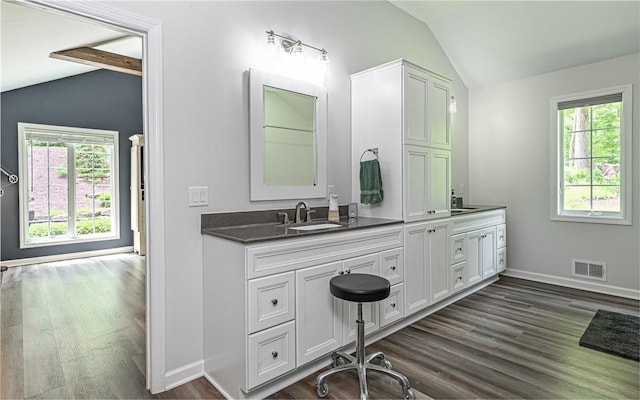 133 Miller Rd, Clinton Twp, PA 16055 - full bathroom featuring vaulted ceiling, healthy amount of natural light, wood finished floors, and double vanity