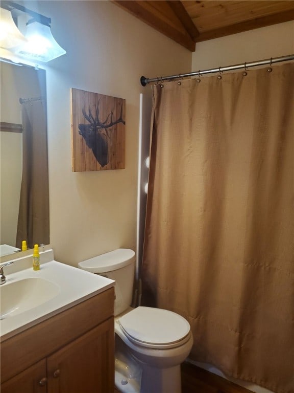 1997 Rock Hill Rd, Benezette, PA 15868 - full bathroom with vanity, toilet, a shower with curtain, and wood ceiling