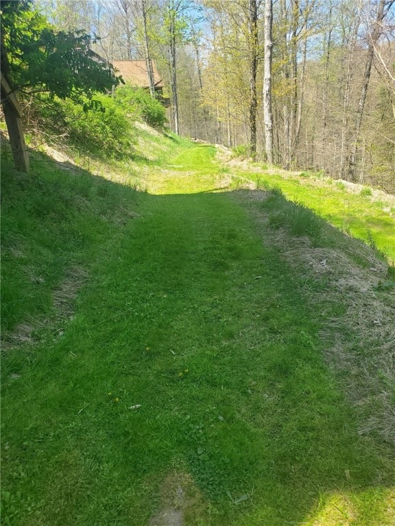 1997 Rock Hill Rd, Benezette, PA 15868 - view of yard