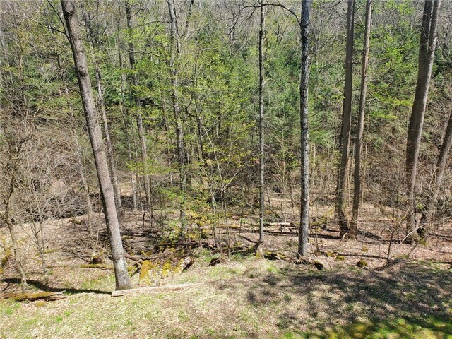 1997 Rock Hill Rd, Benezette, PA 15868 - view of wooded area