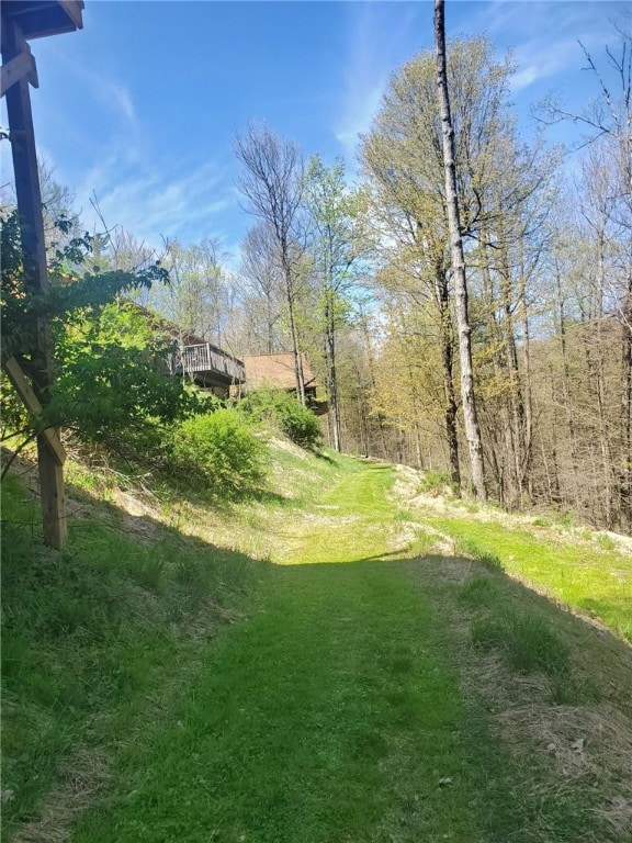 1997 Rock Hill Rd, Benezette, PA 15868 - view of yard featuring a deck