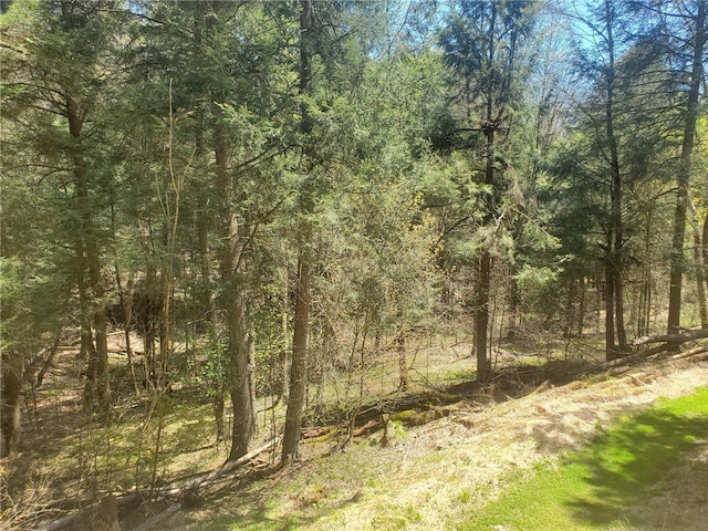 1997 Rock Hill Rd, Benezette, PA 15868 - view of wooded area
