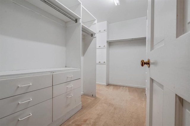 1167 Murray Hill Ave, Squirrel Hill, PA 15217 - walk in closet with light colored carpet