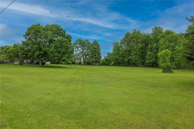 1778 Mercer Rd, Lake Twp, PA 16133 - view of green lawn