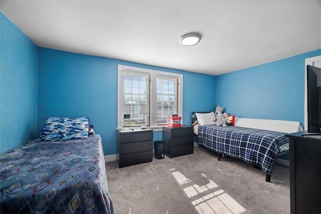 1217 Princeton Ave, Natrona Hts/Harrison Twp, PA 15065 - carpeted bedroom with baseboards