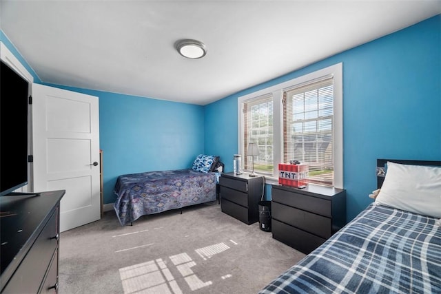 1217 Princeton Ave, Natrona Hts/Harrison Twp, PA 15065 - view of carpeted bedroom