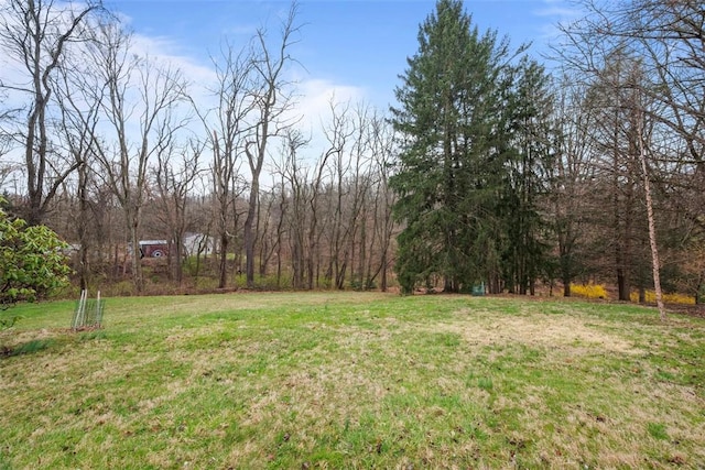 61 Ehle Ave, Kennedy Twp, PA 15108 - view of green lawn featuring a wooded view
