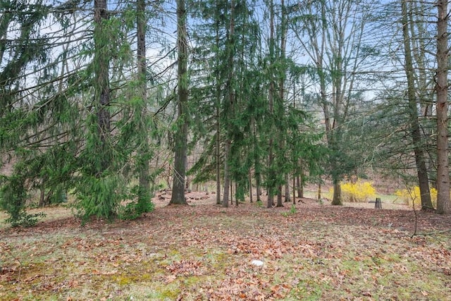 61 Ehle Ave, Kennedy Twp, PA 15108 - view of undeveloped land