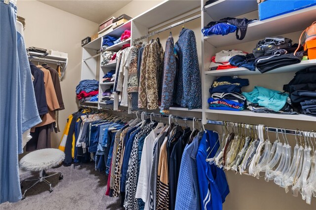 209 Lucca Ln, Upper St Clair, PA 15241 - spacious closet featuring carpet floors