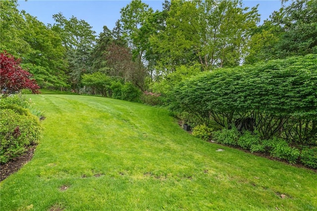 202 N Woodland Rd, Shadyside, PA 15232 - view of grassy yard