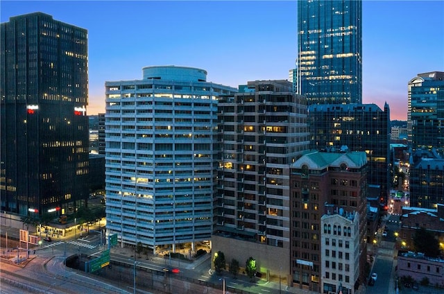 151 Fort Pitt Blvd Unit 1703, Downtown Pgh, PA 15222 - city view