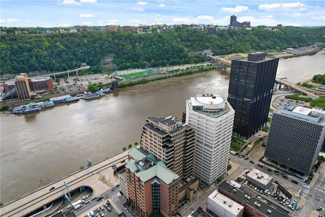 151 Fort Pitt Blvd Unit 1703, Downtown Pgh, PA 15222 - view of urban area featuring a large body of water