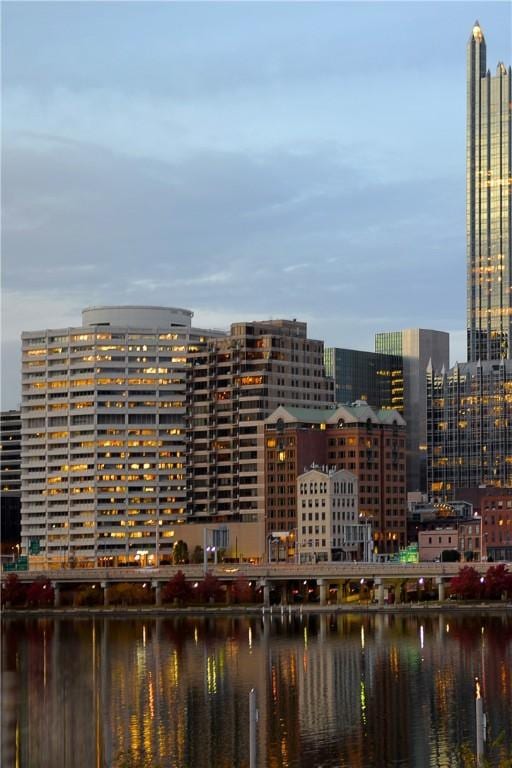 151 Fort Pitt Blvd Unit 1703, Downtown Pgh, PA 15222 - city view with a nearby body of water