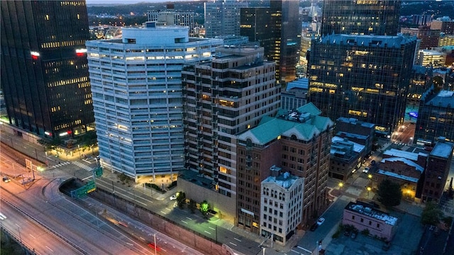 151 Fort Pitt Blvd Unit 1703, Downtown Pgh, PA 15222 - city view