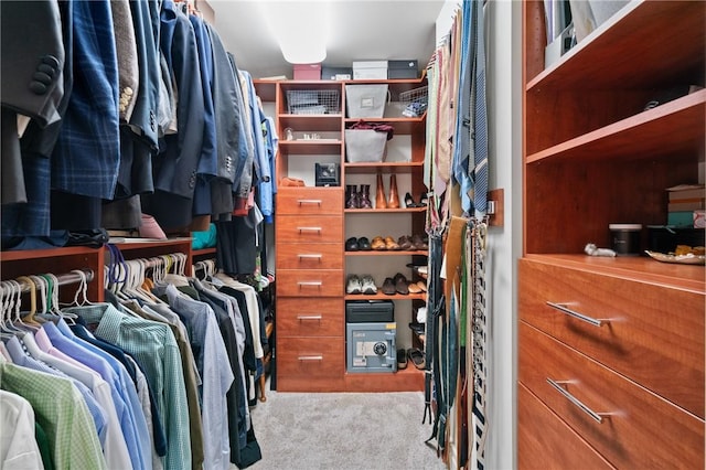 151 Fort Pitt Blvd Unit 1703, Downtown Pgh, PA 15222 - spacious closet featuring carpet floors