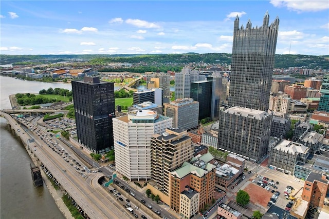 151 Fort Pitt Blvd Unit 1703, Downtown Pgh, PA 15222 - view of urban area with a large body of water and a major roadway