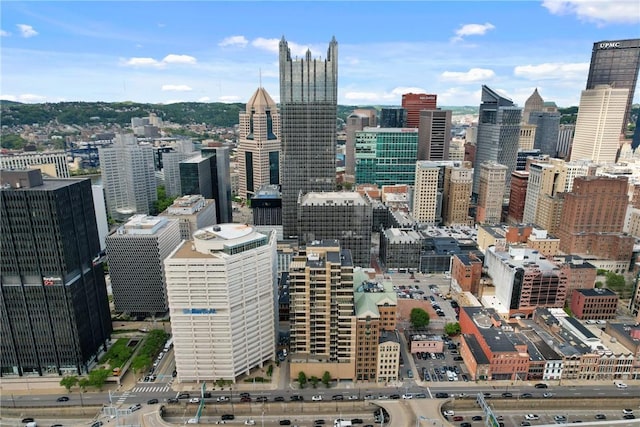 151 Fort Pitt Blvd Unit 1703, Downtown Pgh, PA 15222 - skyline view