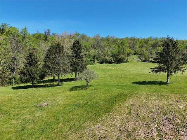 953 Fayette City Rd, Fayette City, PA 15438 - photo 41