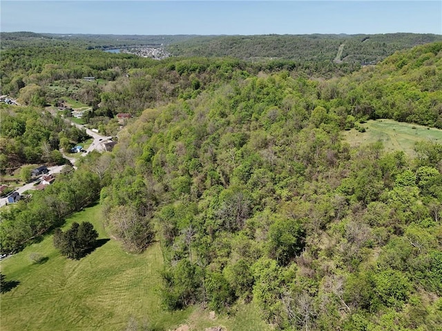 953 Fayette City Rd, Fayette City, PA 15438 - photo 44