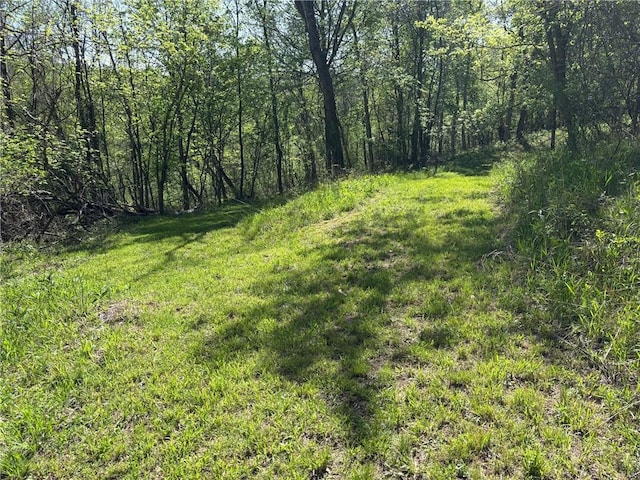 953 Fayette City Rd, Fayette City, PA 15438 - photo 48