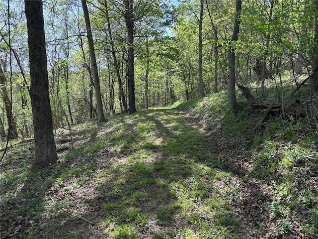 953 Fayette City Rd, Fayette City, PA 15438 - photo 49