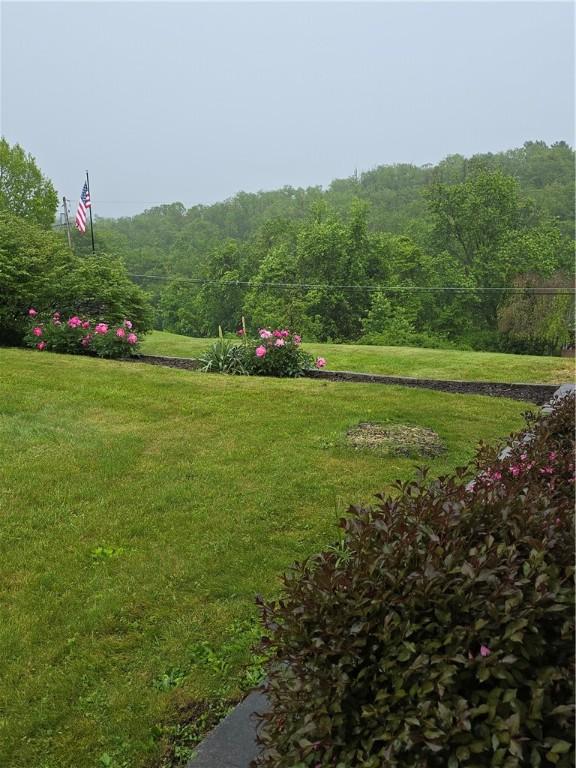 209 Pawnee St, Rostraver, PA 15012 - view of green lawn featuring a view of trees