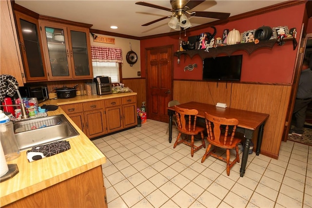 1019 Boulder St, California, PA 15419 - kitchen featuring ceiling fan, crown molding, a wainscoted wall, a sink, and glass insert cabinets