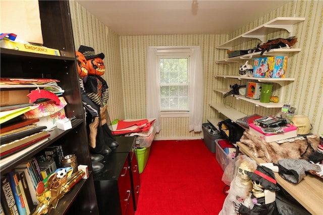 1019 Boulder St, California, PA 15419 - view of storage area
