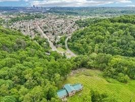 929 Al Smith Dr, Kennedy Twp, PA 15136 - aerial view of a forest
