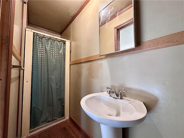 3406 New Castle, West Middlesex Boro, PA 16159 - bathroom featuring wood finished floors, a shower with shower curtain, and a sink