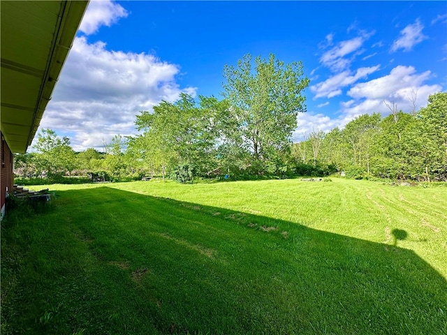 3406 New Castle, West Middlesex Boro, PA 16159 - view of grassy yard