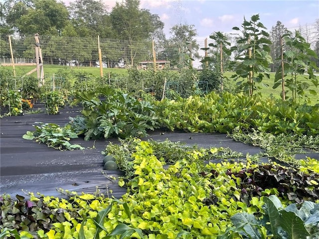 1060 Sugar Run Rd, Nottingham, PA 15367 - view of community featuring a garden