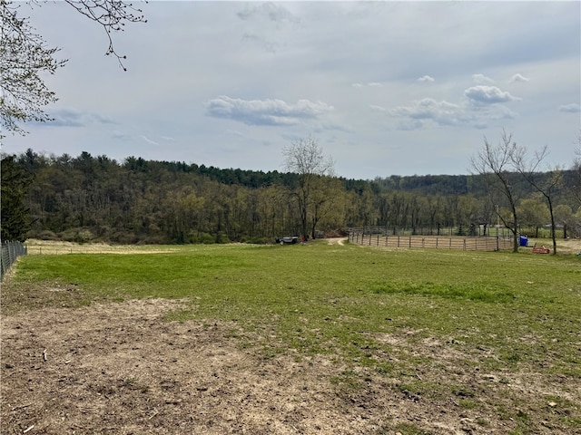 1060 Sugar Run Rd, Nottingham, PA 15367 - view of yard featuring a view of rural / pastoral area and a forest view