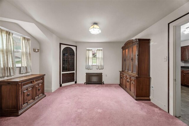 191 Clearview, West View, PA 15229 - unfurnished living room featuring radiator heating unit, light carpet, and baseboards