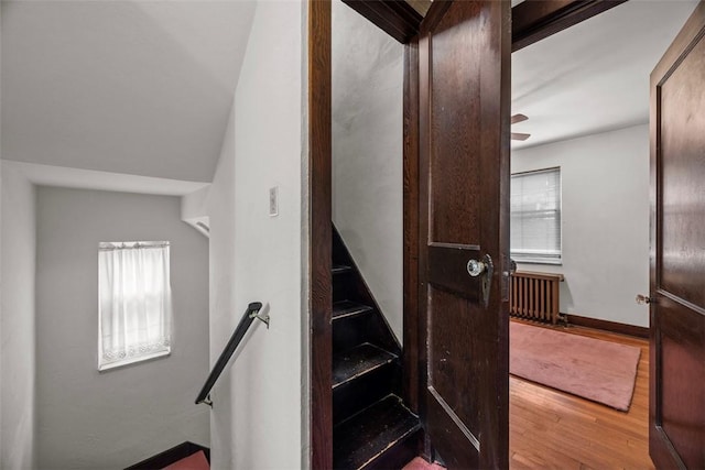 191 Clearview, West View, PA 15229 - stairway with wood finished floors, radiator, and baseboards