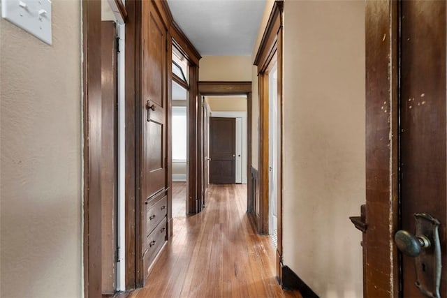 2938 Voelkel Ave, Dormont, PA 15216 - hall with hardwood / wood-style floors