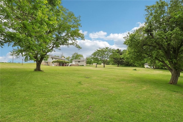 1509 Edmon Rd, Kiskiminetas Twp, PA 15618 - view of grassy yard