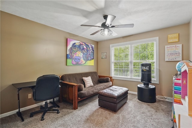 1125 Annisville Rd, Washington Twp But, PA 16050 - home office with carpet floors, baseboards, and ceiling fan