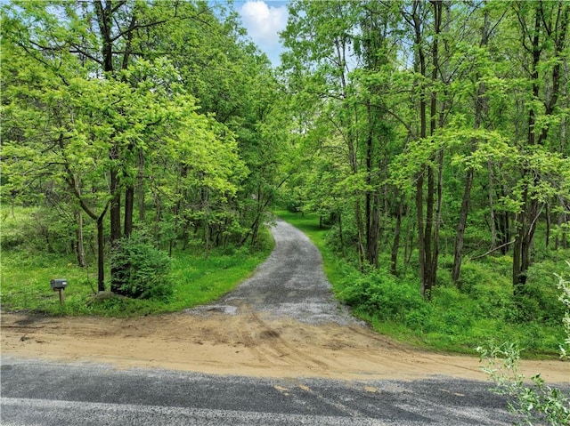 1125 Annisville Rd, Washington Twp But, PA 16050 - view of road with a view of trees