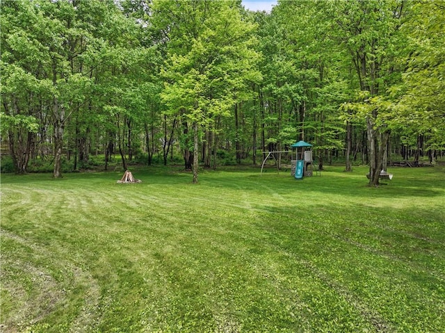 1125 Annisville Rd, Washington Twp But, PA 16050 - view of grassy yard with a playground and a forest view
