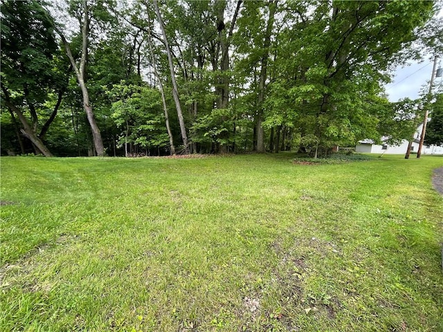 23 Columbia Park, Hempfield Twp Mer, PA 16125 - view of green lawn