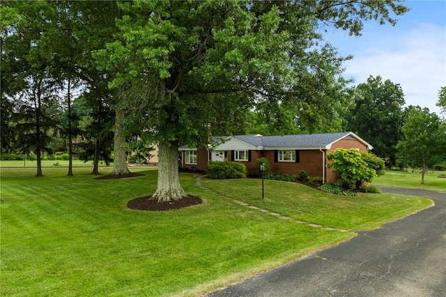 1527 W Ingomar Rd, Franklin Park, PA 15237 - view of front of home featuring a front yard, brick siding, asphalt driveway, and view of wooded area