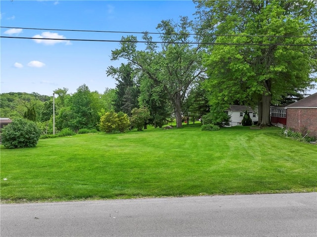 146 Samuel St, Chippewa Twp, PA 15010 - view of green lawn